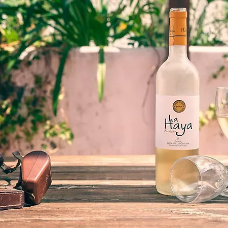 Superior G: Private Pool & Concierge Appartement