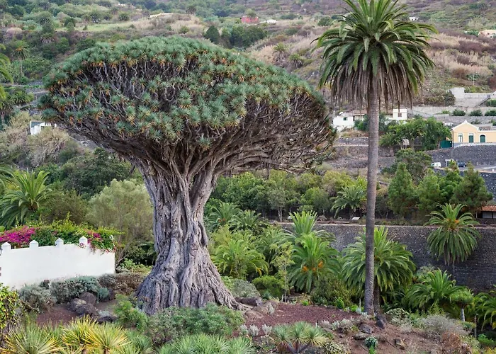 Superior G: Private Pool & Concierge Apartament *