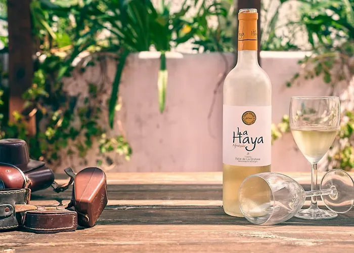 Superior G: Private Pool & Concierge 아파트